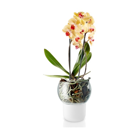 Горшок для орхидеи с функцией самополива, 15 см, белый