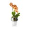 Горшок для орхидеи с функцией самополива, 13 см