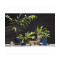 Диффузор ароматический vetiver & black cypress из коллекции edge, 200 мл, бежевый