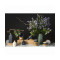 Диффузор ароматический cypress, jasmine & patchouli из коллекции edge, 200 мл, бежевый
